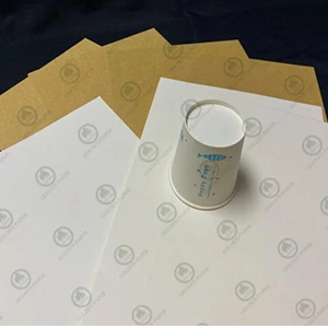 Uncoated Cupstock Base Paper